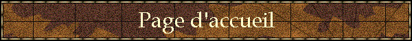 Page d'accueil